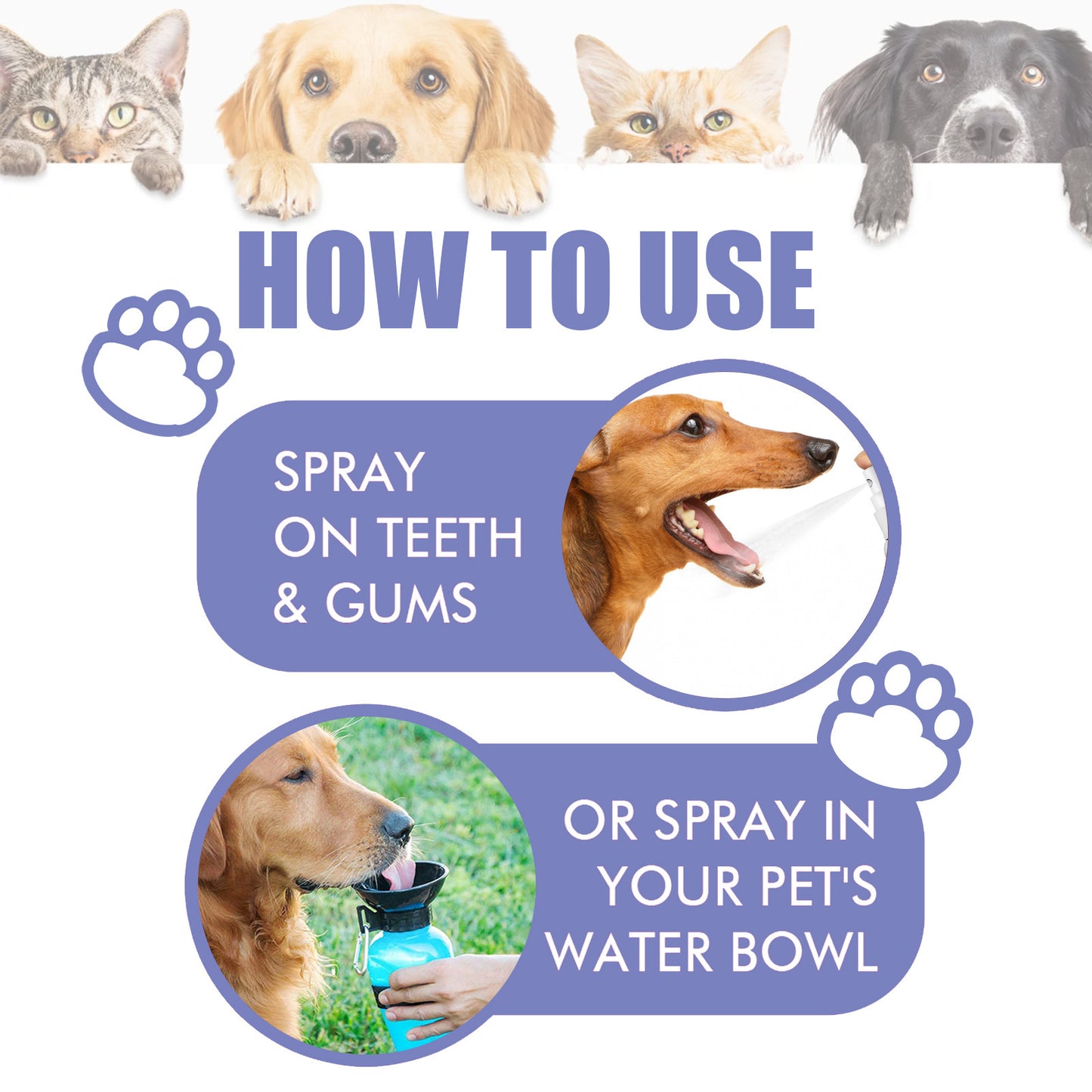Consupere™Cat & Dog Dental Cleaning Spray|Pet Oral Spray
