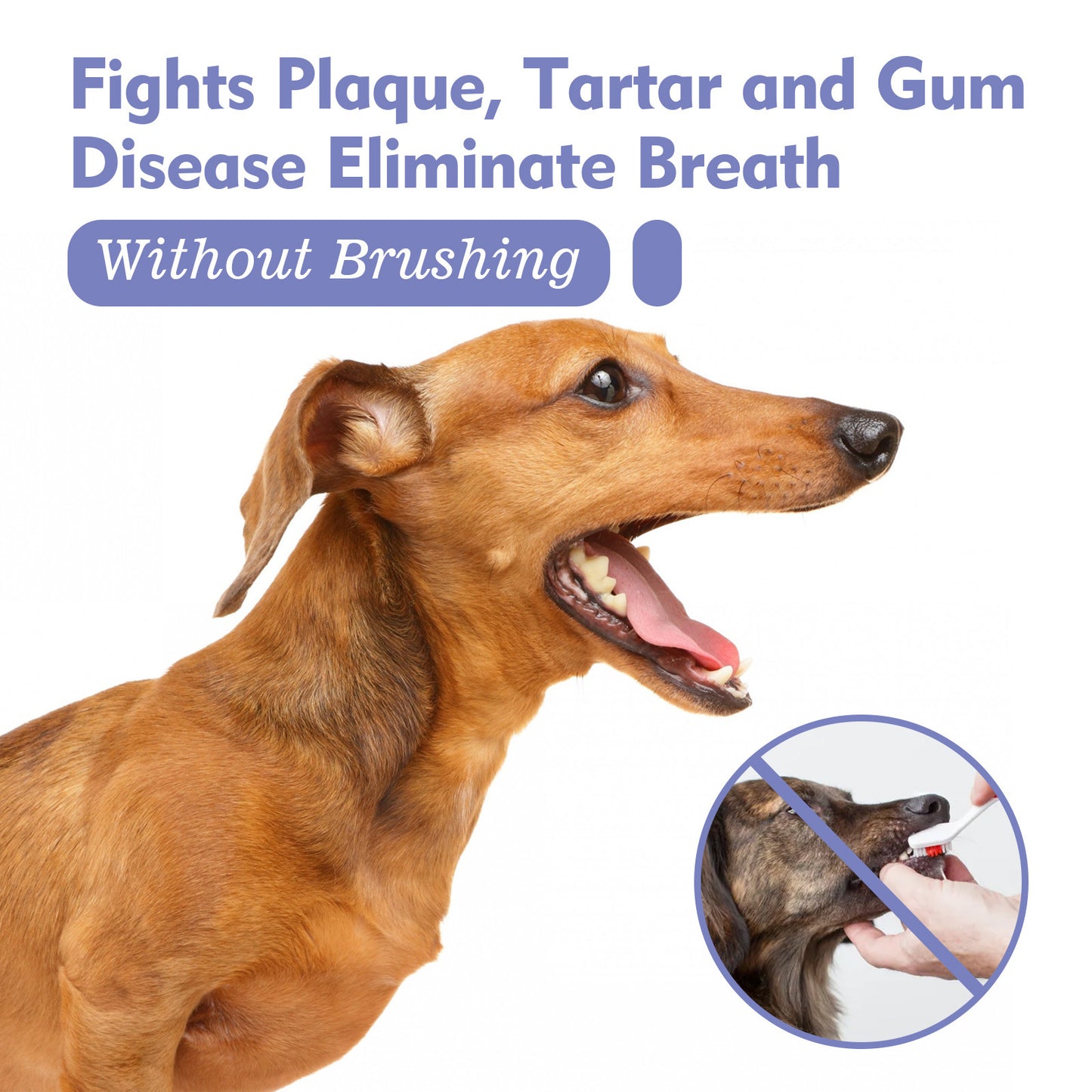 Consupere™Cat & Dog Dental Cleaning Spray|Pet Oral Spray