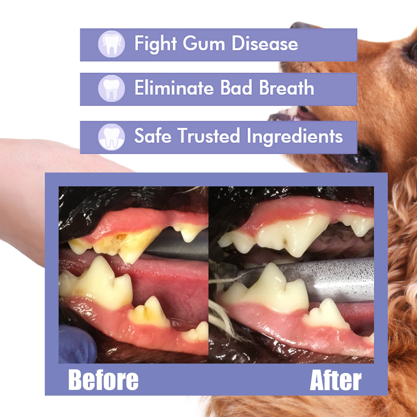 Consupere™Cat & Dog Dental Cleaning Spray|Pet Oral Spray