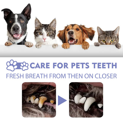 Consupere™Cat & Dog Dental Cleaning Spray|Pet Oral Spray